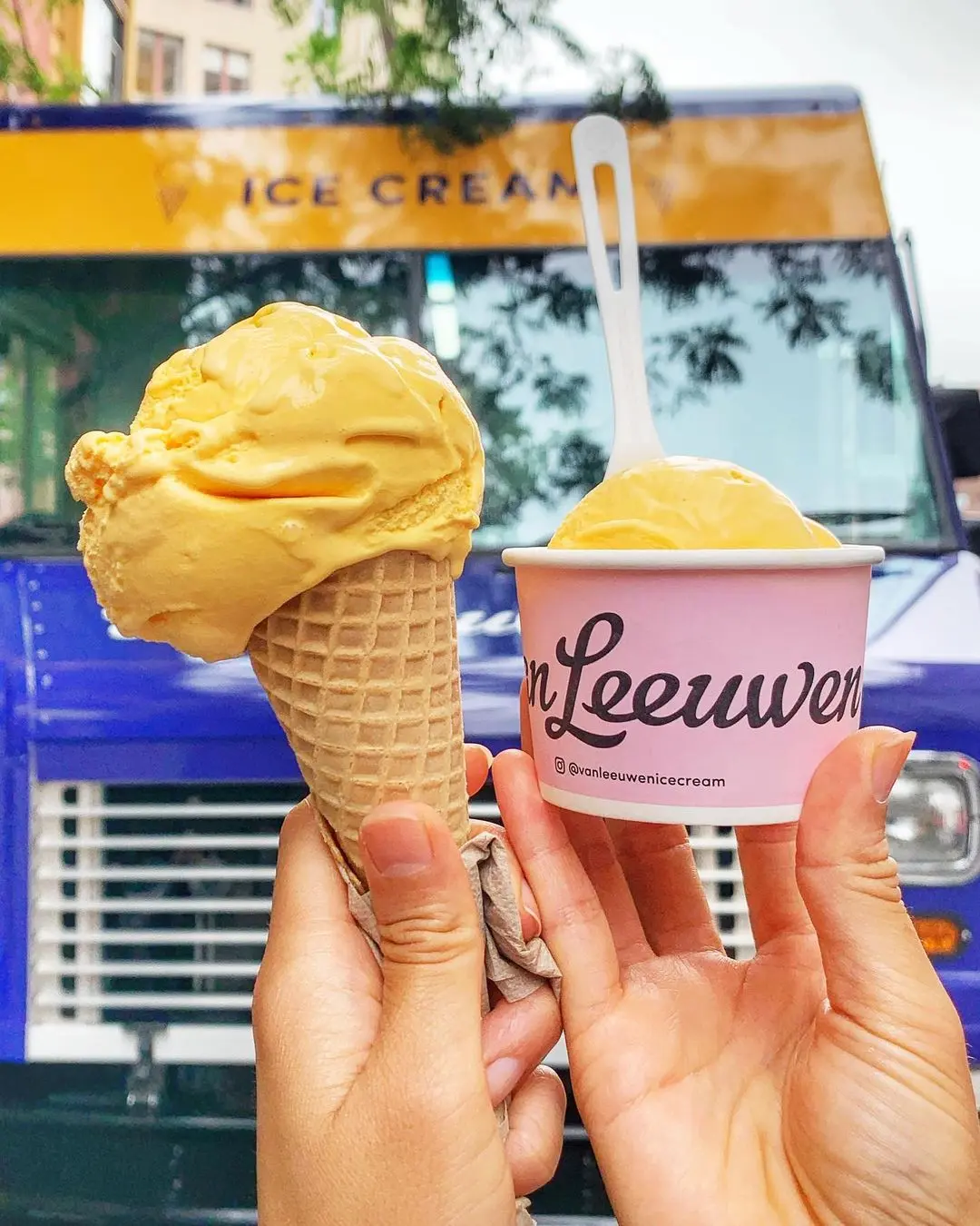 kraft van leeuwen new york mac and cheese ice cream