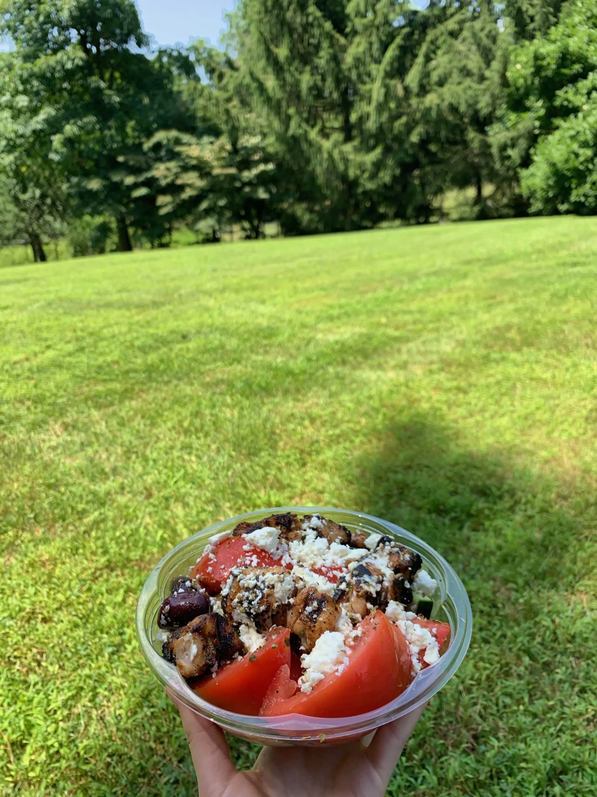 souvlaki gr food truck greek salad